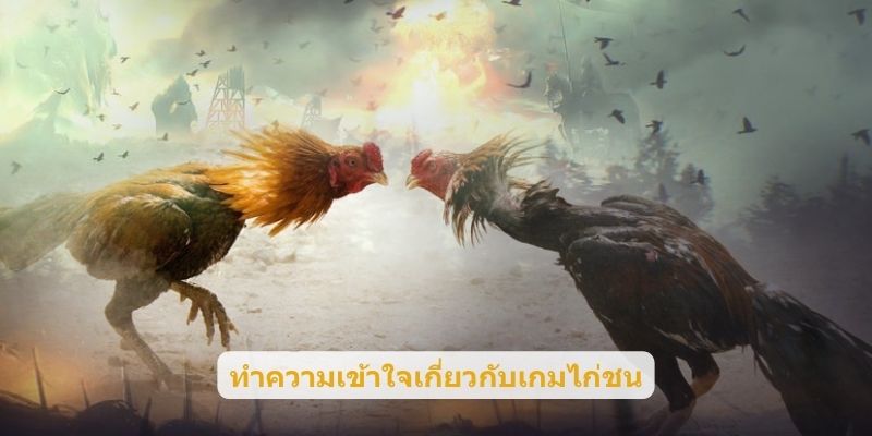 ทำความเข้าใจเกี่ยวกับเกมไก่ชน