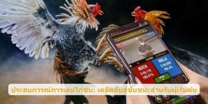 ประสบการณ์การเล่นไก่ชน: เคล็ดลับสู่ชัยชนะสำหรับผู้เริ่มต้น