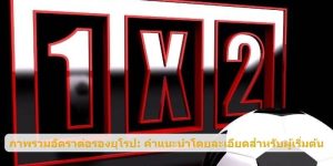 ภาพรวมอัตราต่อรองยุโรป: คำแนะนำโดยละเอียดสำหรับผู้เริ่มต้น