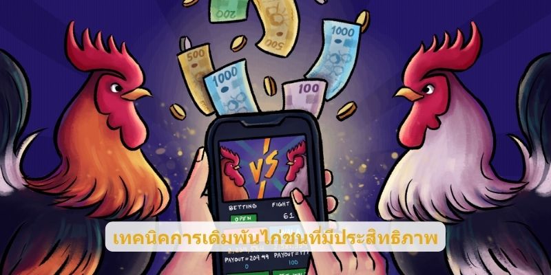 เทคนิคการเดิมพันไก่ชนที่มีประสิทธิภาพ